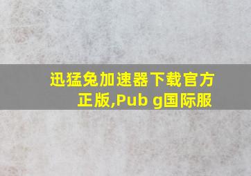 迅猛兔加速器下载官方正版,Pub g国际服